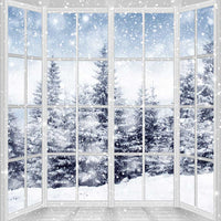 Avezano Winter Snowy Scene Outside Window Backdrop For Photography
