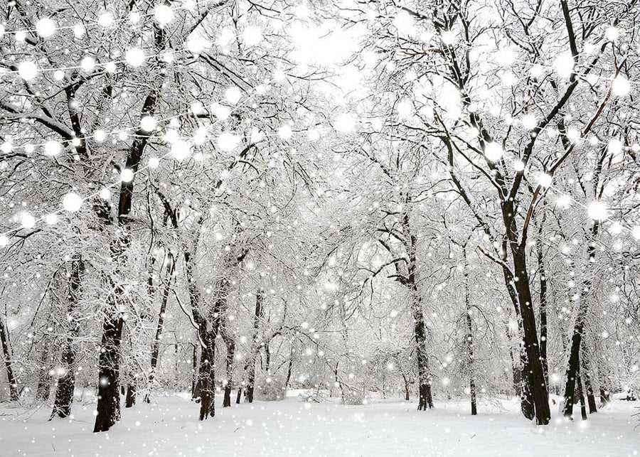 Avezano Winter Snow Forest Photography Background-AVEZANO