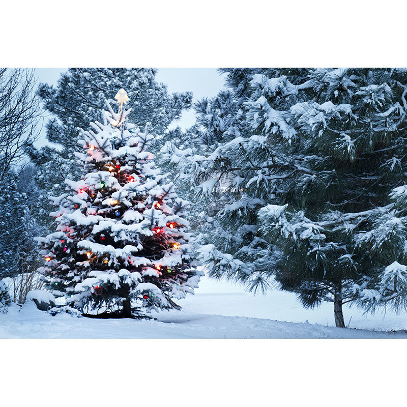 Avezano Christmas Tree In The Snow Photography Backdrop For Christmas-AVEZANO
