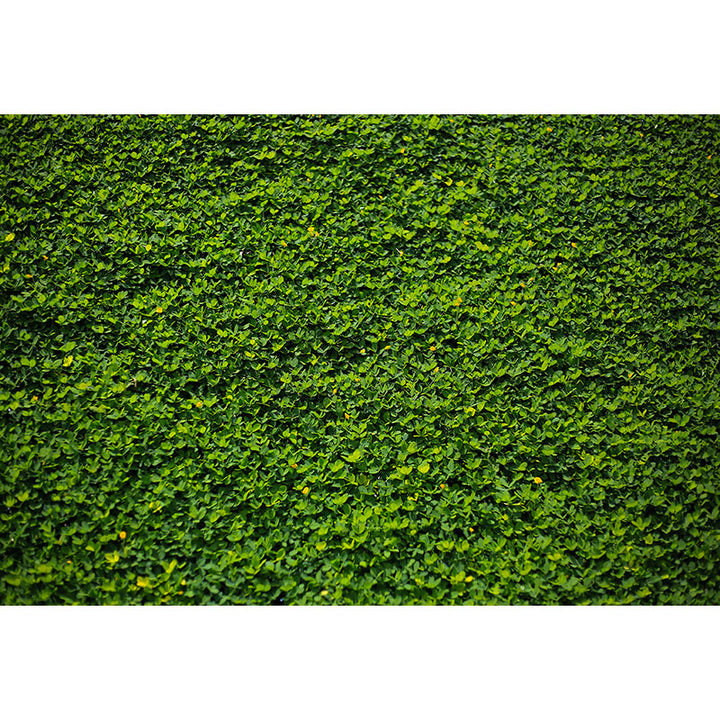 Avezano Spring Thick Green Grass Photography Backdrop-AVEZANO