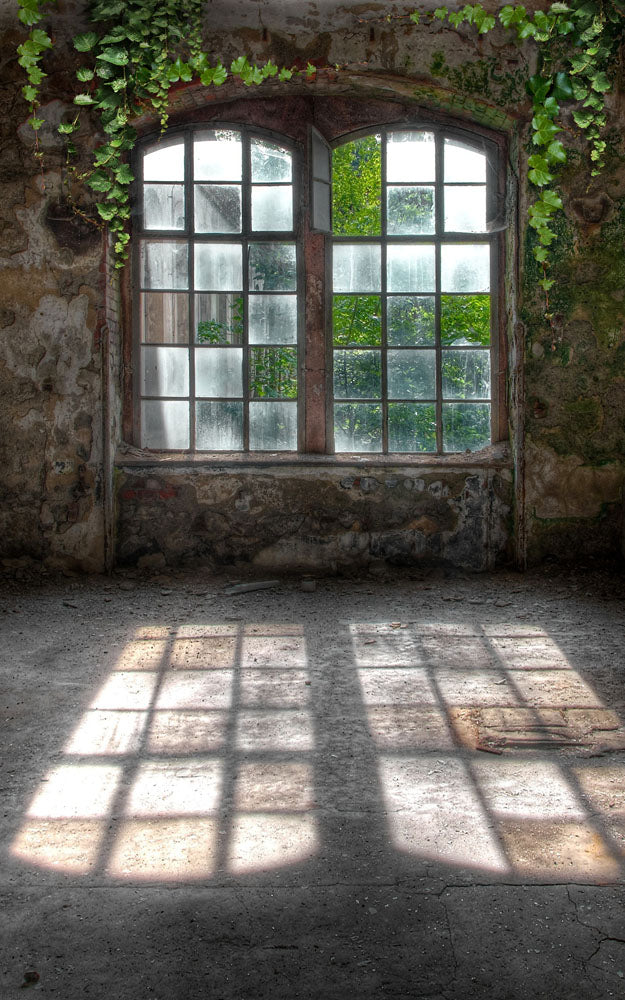 Avezano Windowsill Sunshine Backdrops For Photography-AVEZANO