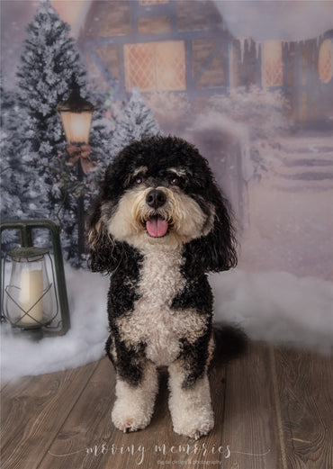 Photographie extérieure du chalet enneigé d'Avezano sur fond de Noël