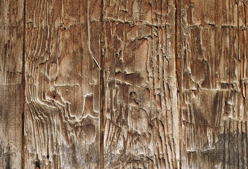 Avezano Vintage Textured Bark Wood Backdrop Photography-AVEZANO