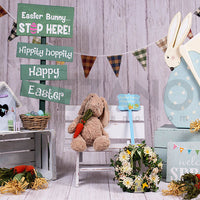 Avezano Bunny toy Easter Photography Backdrop Room Set