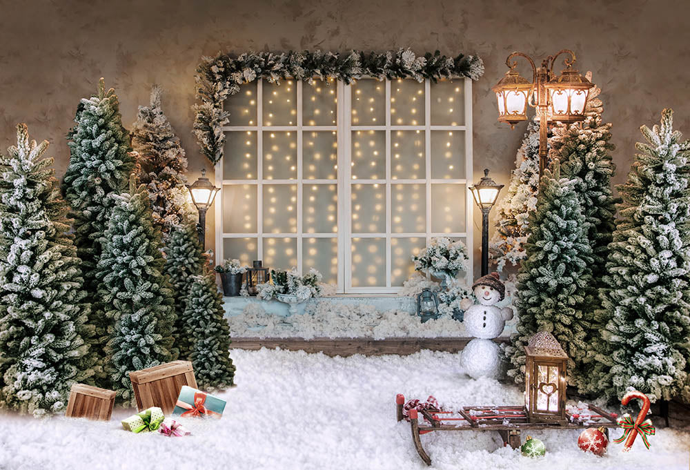 Avezano Christmas White Door Photography Backdrop