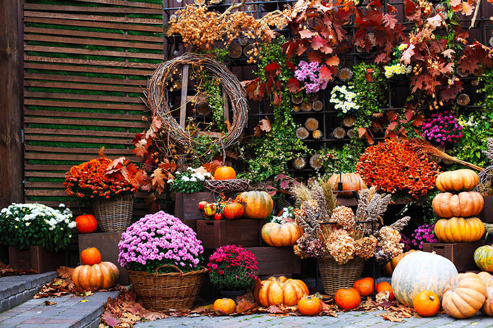 Avezano Flowerbed Autumn Photography Backdrop-AVEZANO