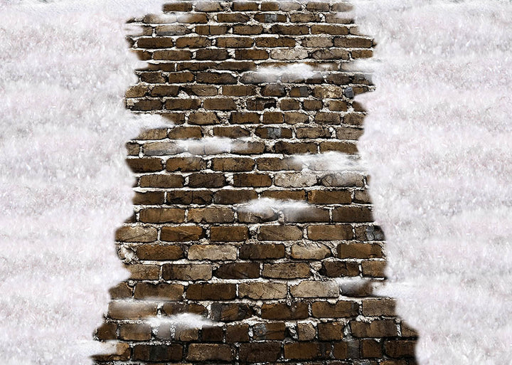 Avezano Winter Snow-Covered Brick Floor Photography Backdrop-AVEZANO