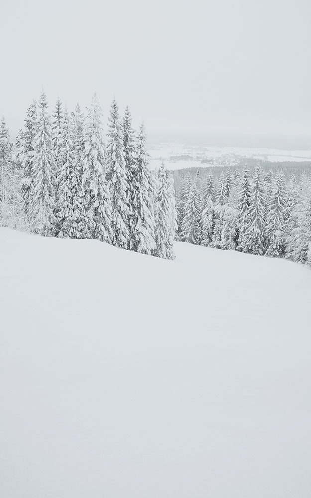 Avezano Winter Forest Snow Scene Photography Backdrop-AVEZANO