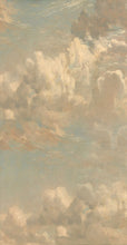 Load image into Gallery viewer, Avezano Fine Art Cloud Portrait Photography Backdrop
