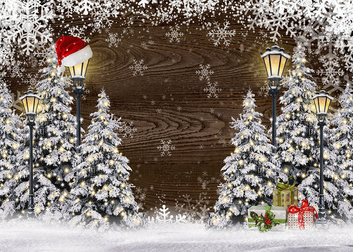 Avezano Christmas Ice And Snow World Wooden Board Photography Background-AVEZANO