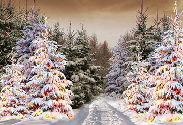 Avezano Christmas Snow Scene With Colorful Lights Photography Background-AVEZANO