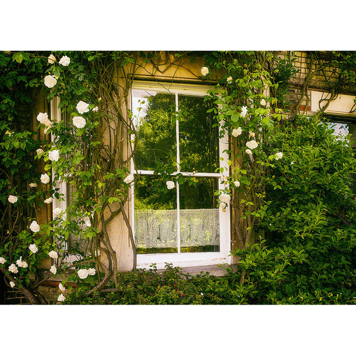 Avezano A Window Surrounded By Vines Spring Photography Backdrop-AVEZANO