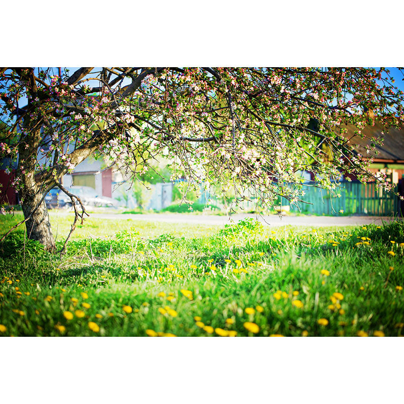 Avezano Green Lawns And Tree Spring Photography Backdrop-AVEZANO