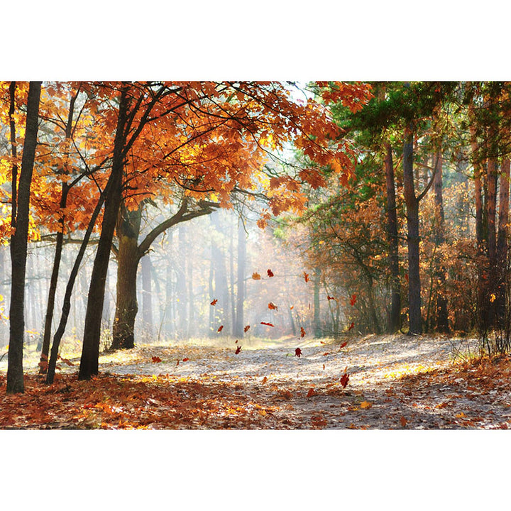 Avezano Autumn Deciduous Forest Photography Backdrop-AVEZANO
