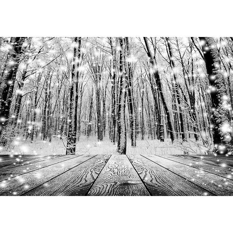 Avezano Black And White Snowy Woods In Winter Photography Backdrop-AVEZANO
