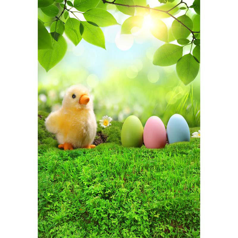 Avezano Green Lawn With Chicks And Eggs In Spring Photography Backdrop-AVEZANO