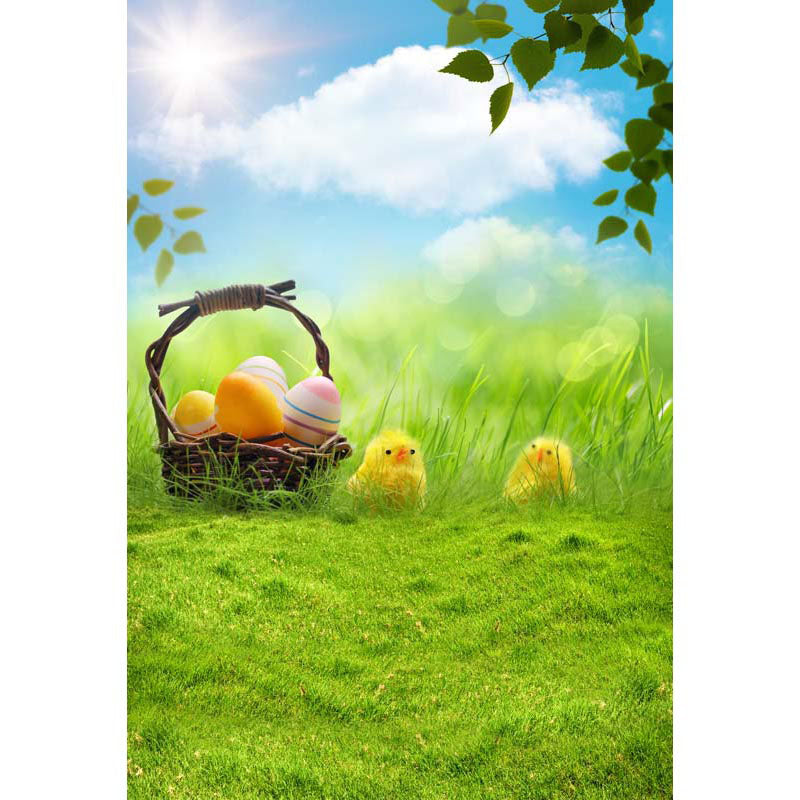 Avezano Sky And Lawn With Easter Eggs Photography Backdrop-AVEZANO