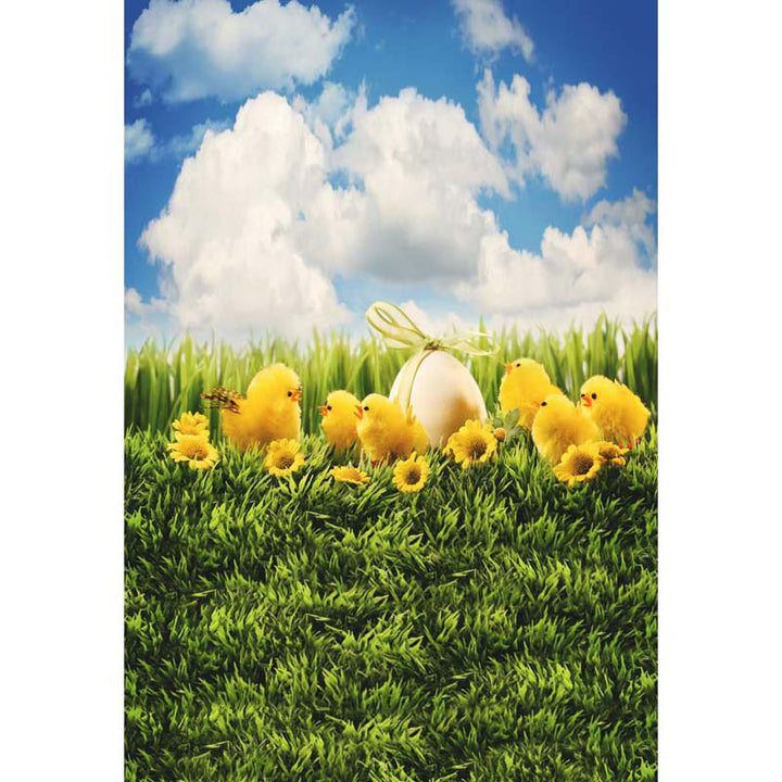 Avezano Grass And Easter Chicks In Spring Photography Backdrop-AVEZANO