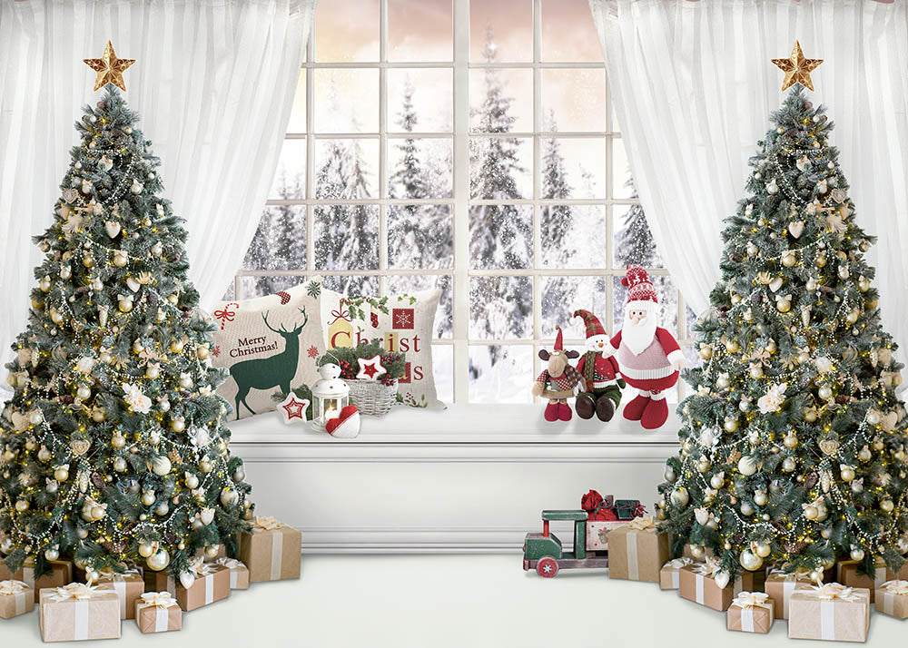 Avezano Christmas Theme Bay Window Photography Backdrop-AVEZANO