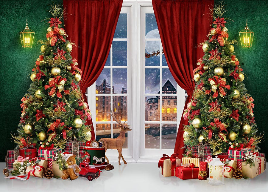 Avezano Christmas Theme Windows Photography Backdrop-AVEZANO