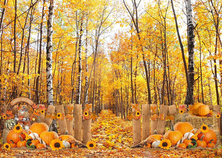 Avezano Autumn Woods Photography Backdrop-AVEZANO