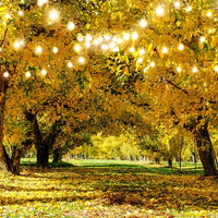 Avezano Autumn Trees Photography Backdrop-AVEZANO