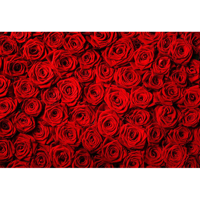 Avezano Red Rose Valentine'S Day Photography Backdrop-AVEZANO