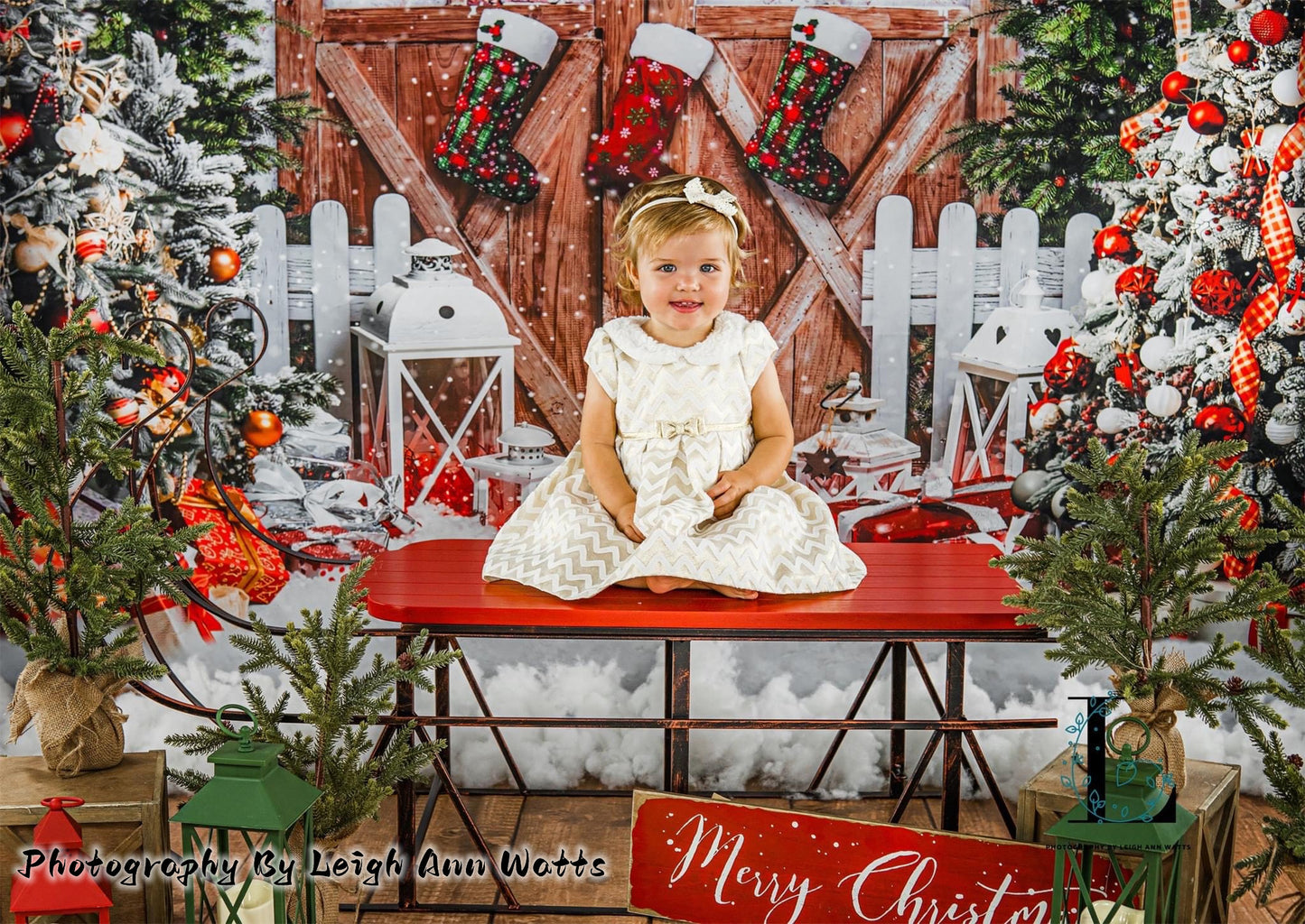 Arbres de Noël et porte en bois d'Avezano, toile de fond pour la photographie 