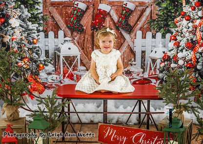 Arbres de Noël et porte en bois d'Avezano, toile de fond pour la photographie 
