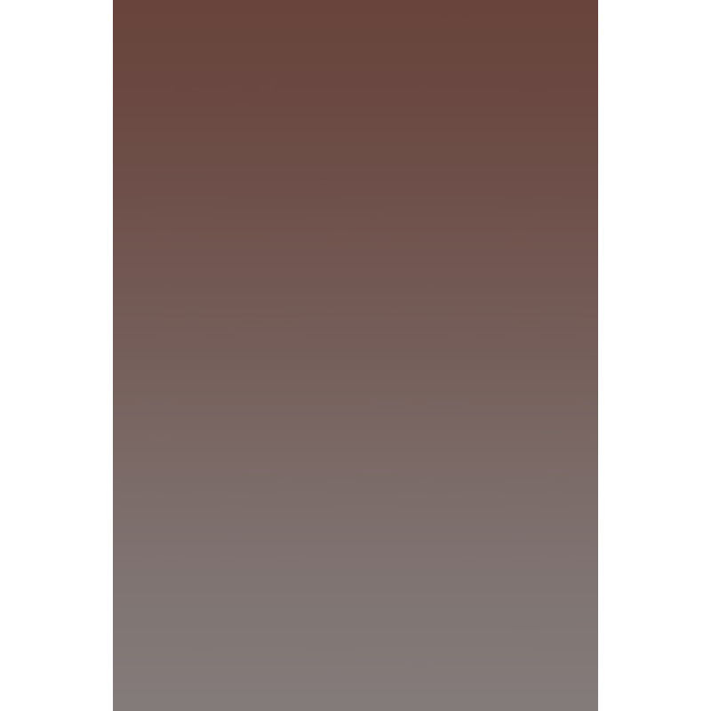 Avezano Brown Fades To Gray Gradient Backdrop For Portrait Photography-AVEZANO