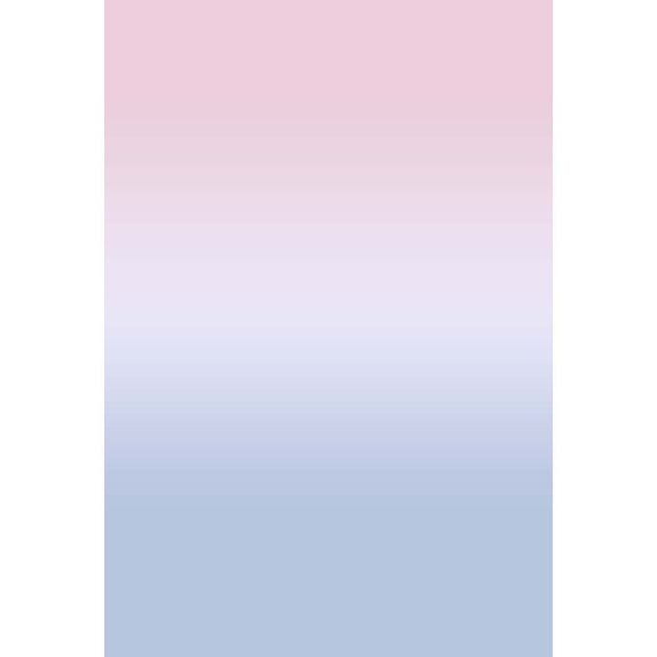 Avezano Light Pink Fades To Light Blue Gradient Backdrop For Portrait Photography-AVEZANO