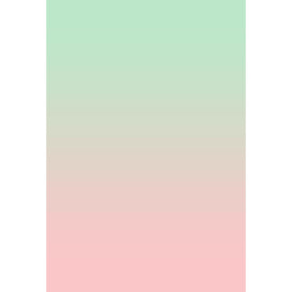 Avezano Pale Green Fades To Pink Gradient Backdrop For Portrait Photography-AVEZANO