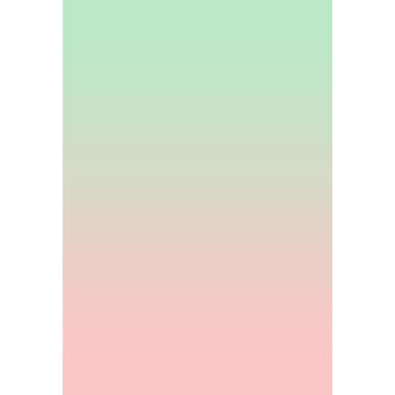 Avezano Pale Green Fades To Pink Gradient Backdrop For Portrait Photography-AVEZANO