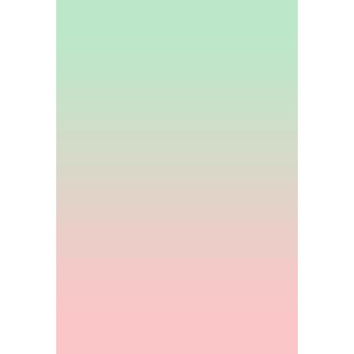 Avezano Pale Green Fades To Pink Gradient Backdrop For Portrait Photography-AVEZANO