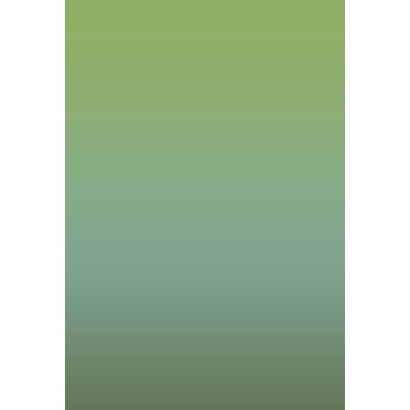 Avezano Green Fades To Celadon Gradient Backdrop For Portrait Photography-AVEZANO