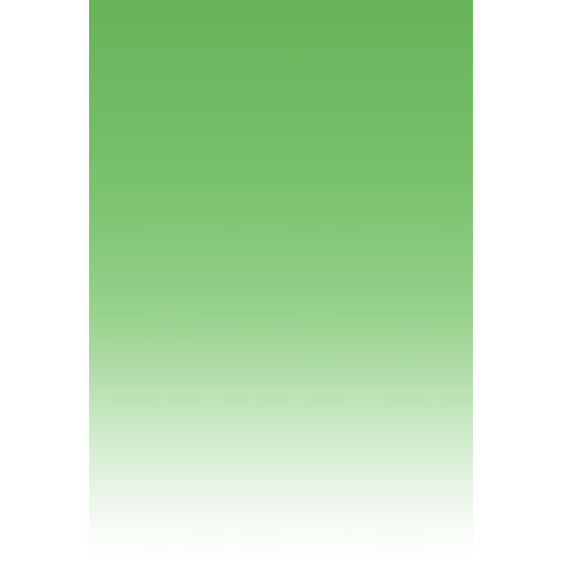 Avezano Green Fades Away Gradient Backdrop For Portrait Photography-AVEZANO