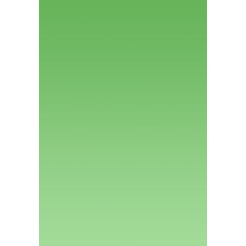 Avezano Green Gradually Pales Gradient Backdrop For Portrait Photography-AVEZANO