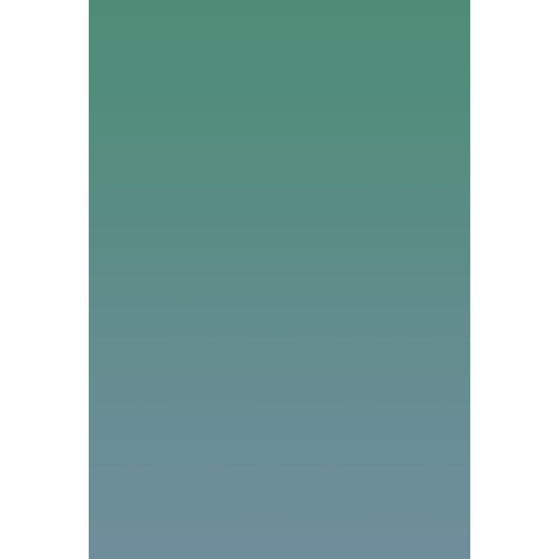 Avezano Green Fades To Gray Gradient Backdrop For Portrait Photography-AVEZANO