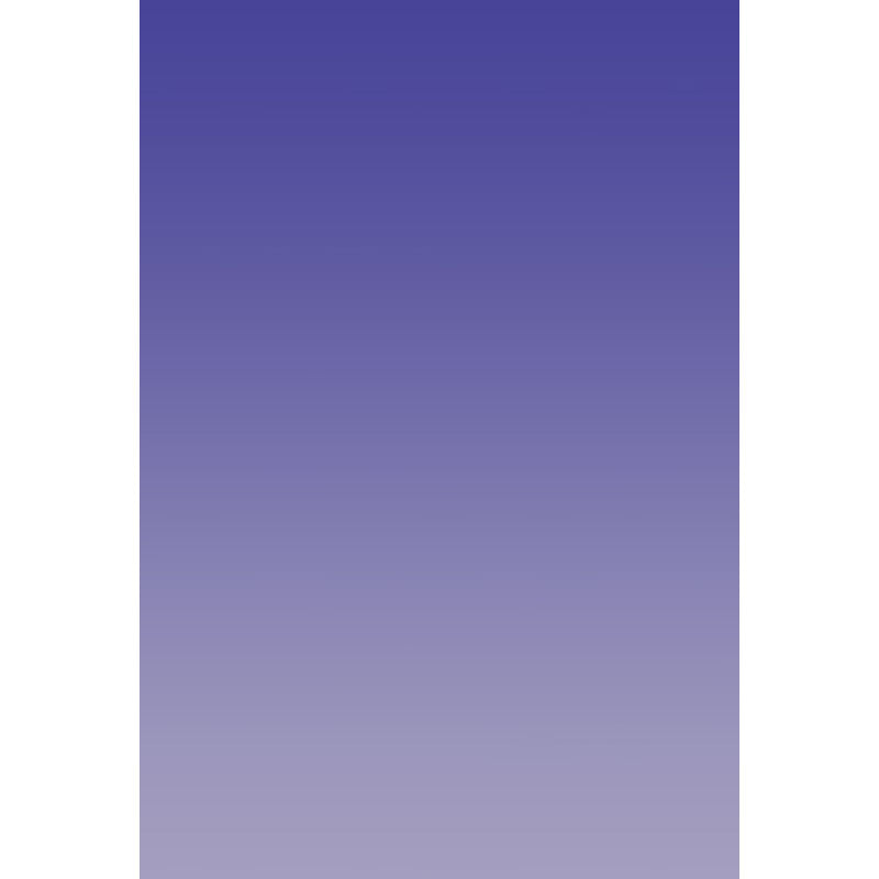 Avezano Purple Gradually Pales Gradient Backdrop For Portrait Photography-AVEZANO