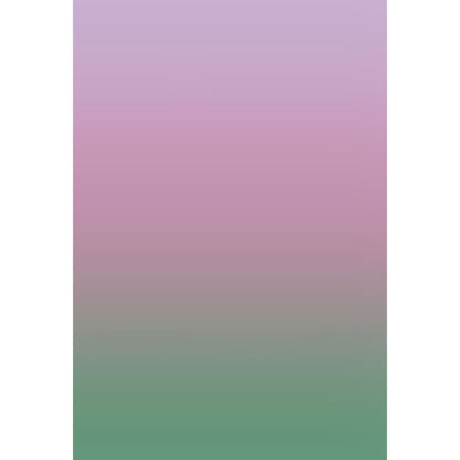 Avezano Pink Fades To Green Gradient Backdrop For Portrait Photography-AVEZANO