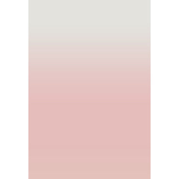 Avezano Pink Deepens Gradually Gradient Backdrop For Portrait Photography