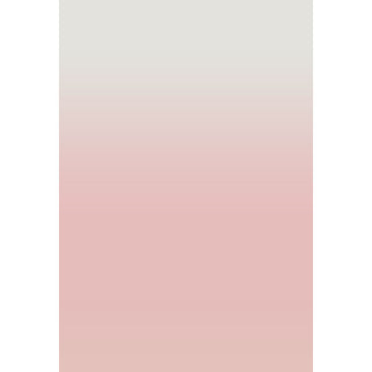 Avezano Pink Deepens Gradually Gradient Backdrop For Portrait Photography