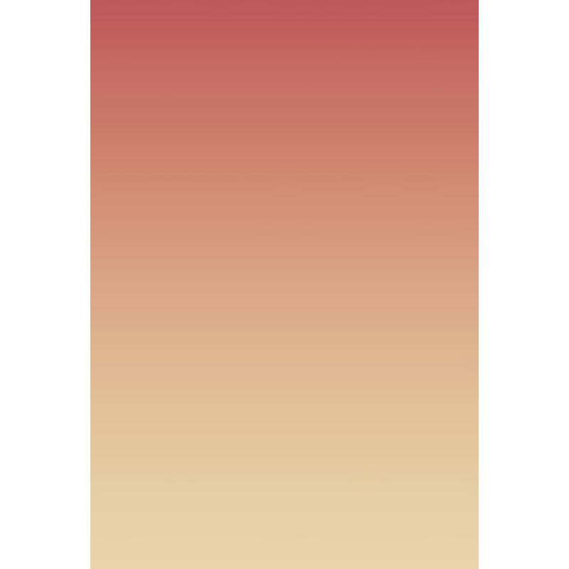 Avezano Red Fades To Yellow Gradient Backdrop For Portrait Photography-AVEZANO