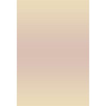 Avezano Yellow With Light Pink Gradient Backdrop For Portrait Photography-AVEZANO