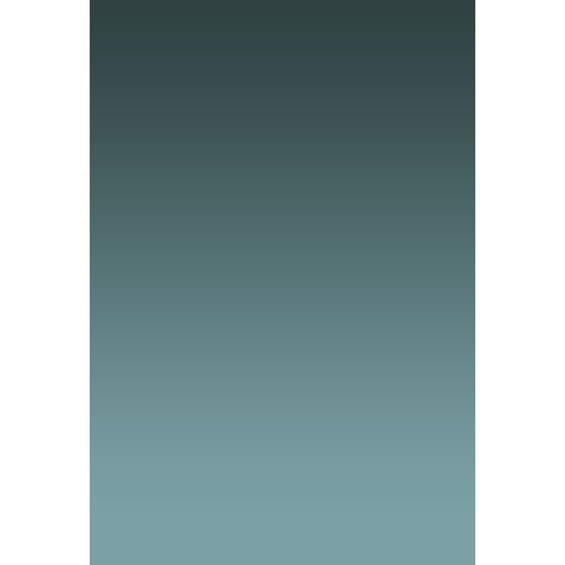 Toile de fond dégradée graduellement pâle en étain profond d'Avezano pour la photographie de portrait