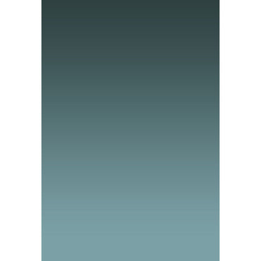 Toile de fond dégradée graduellement pâle en étain profond d'Avezano pour la photographie de portrait