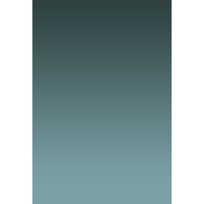 Toile de fond dégradée graduellement pâle en étain profond d'Avezano pour la photographie de portrait