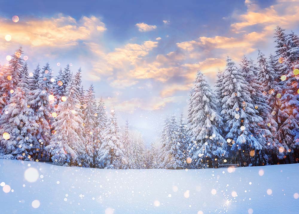 Avezano Winter Snow Photography Backdrop-AVEZANO