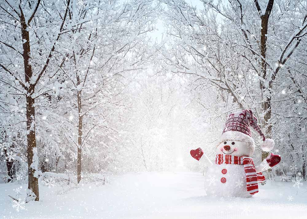 Avezano Winter Deep Forest Snowman Photography Background-AVEZANO