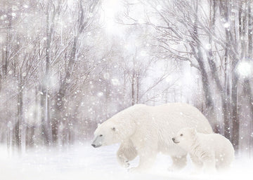 Winter Snow Scene Avezano Mother Bear And Baby Bear Photography Background-AVEZANO